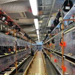 Obrázek WhatsApp, 2025-03-28 v 19.42.46 d77610a5